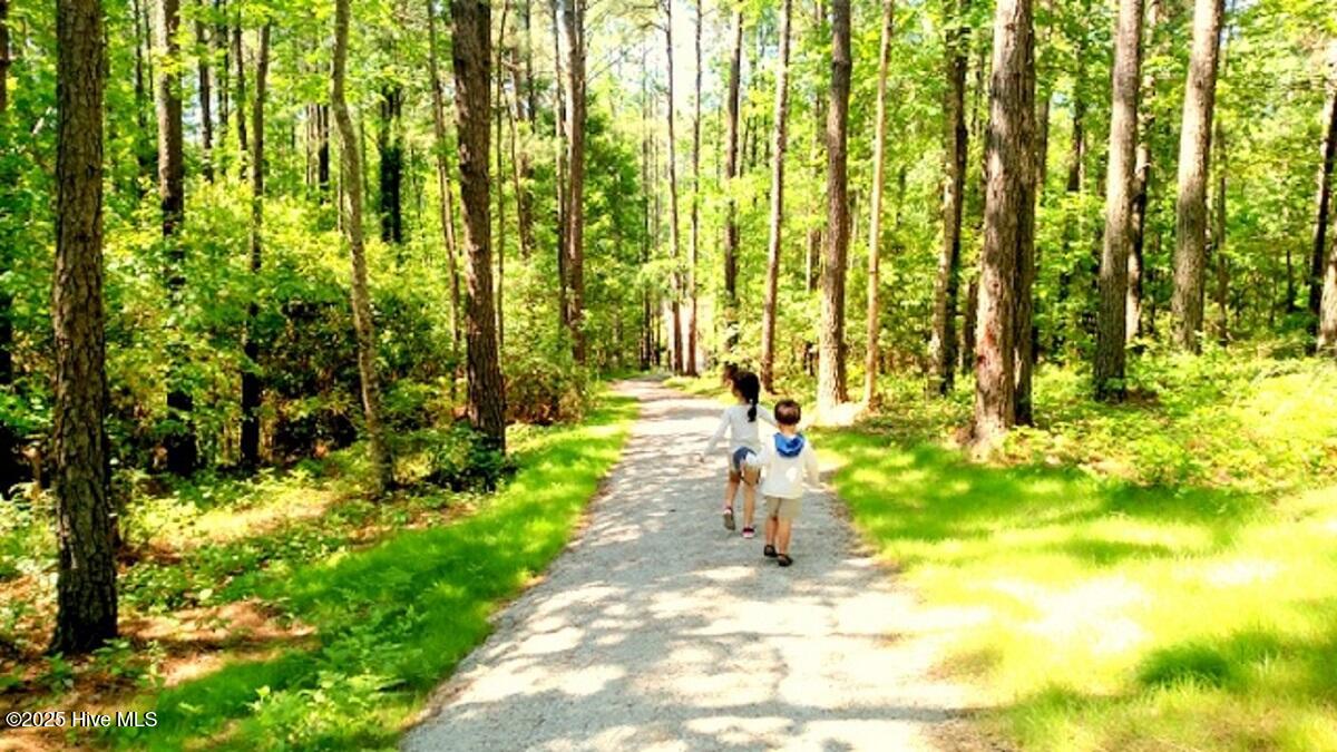 75 Golden Fern Lane Minnesott Beach, NC 28510 - Photo 15 of 31 11 Neighborhood Trails