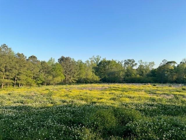 791 Johnsey Bridge Road Jasper, AL 35503 - Photo 1 of 5 Gallery Image 1