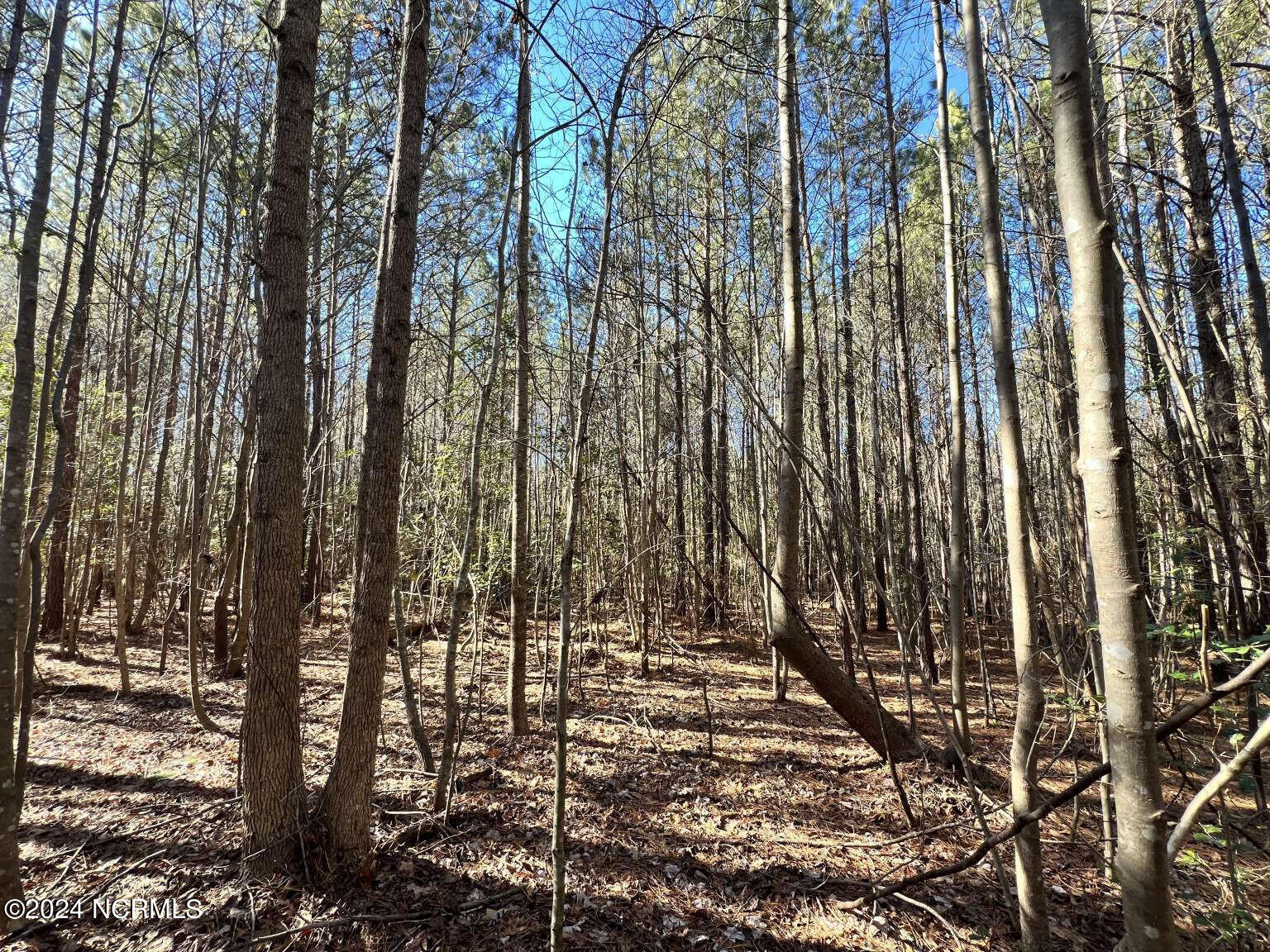 0 Highway 220 Road North Ellerbe, NC 28338 - Photo 1 of 10 Foushee.1