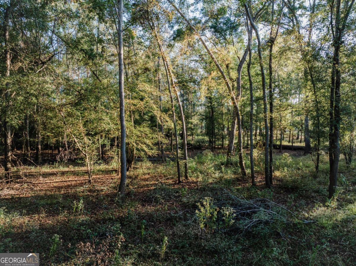 0 Eagles Point, Unit LOT 8 Surrency, GA 31563 - Photo 4 of 11 a view of outdoor space and trees