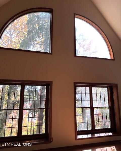 118 Mohawk Road Oak Ridge, TN 37830 - Photo 3 of 53 Front Window View from Downstairs