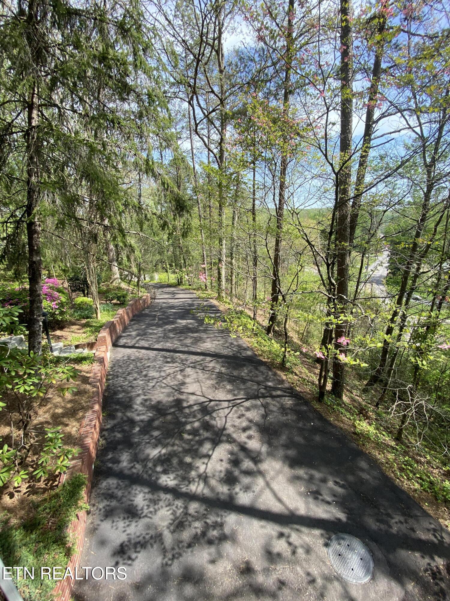 118 Mohawk Road Oak Ridge, TN 37830 - Photo 53 of 53 Looking Down the Driveway