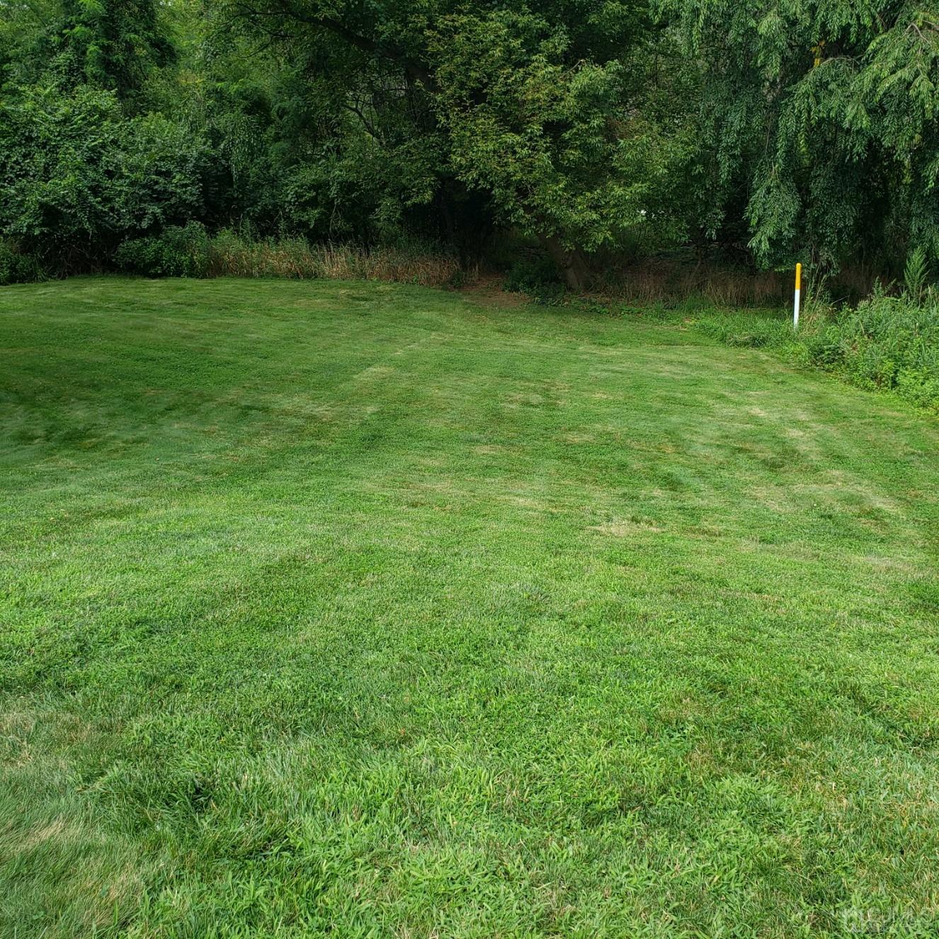 42 Wilcox Road New Brunswick, NJ 08901 - Photo 2 of 27 Bonus yard