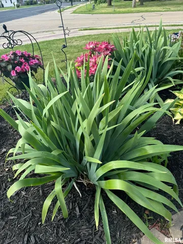 $99,900 | 304 South Main Street, Bellevue, IL 61604