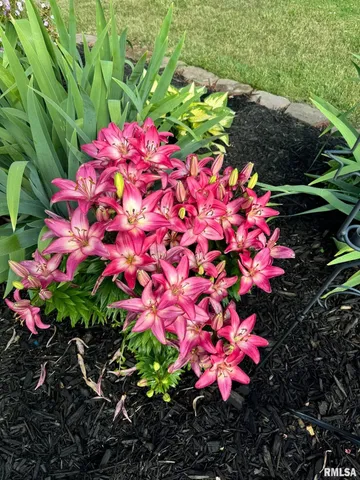 $99,900 | 304 South Main Street, Bellevue, IL 61604