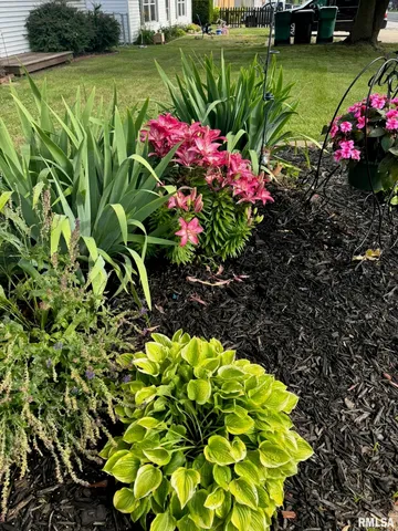 $99,900 | 304 South Main Street, Bellevue, IL 61604