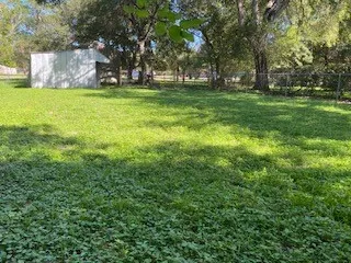 a white house in a big yard with large trees