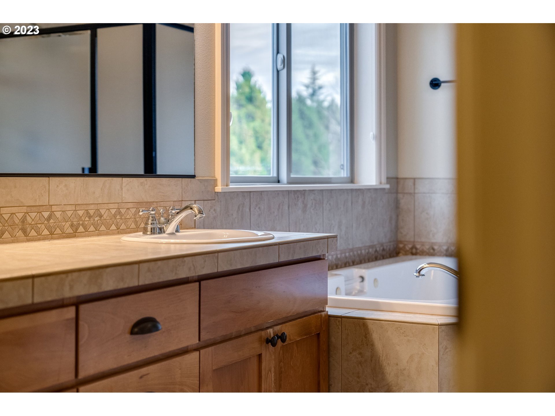 841 Northwest Sacajawea Place Camas, WA 98607 - Photo 29 of 48 a bathroom with a sink and a mirror