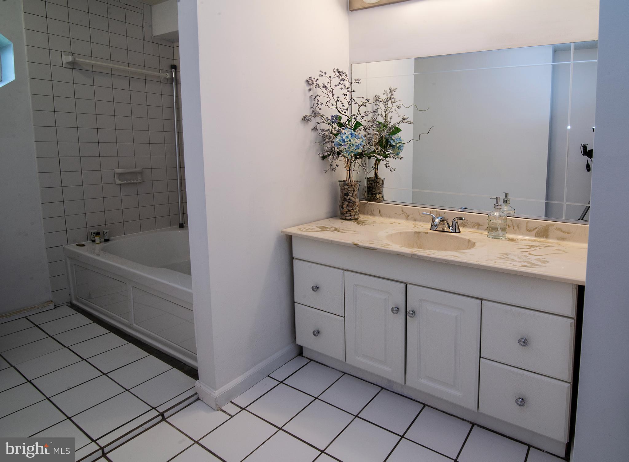 4748 Dickerson Road Partlow, VA 22534 - Photo 24 of 40 Bathroom with jacuzzi