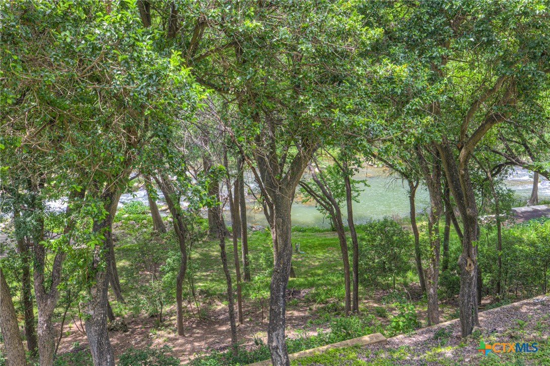 1029 Gruene Road New Braunfels, TX 78130 - Photo 30 of 48 a view of forest