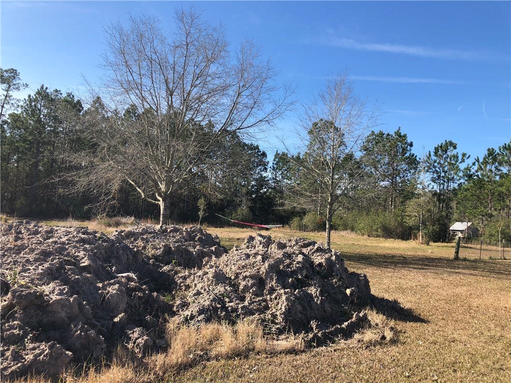 63487 Fish Hatchery Road Lacombe, LA 70445 - Photo 3 of 3