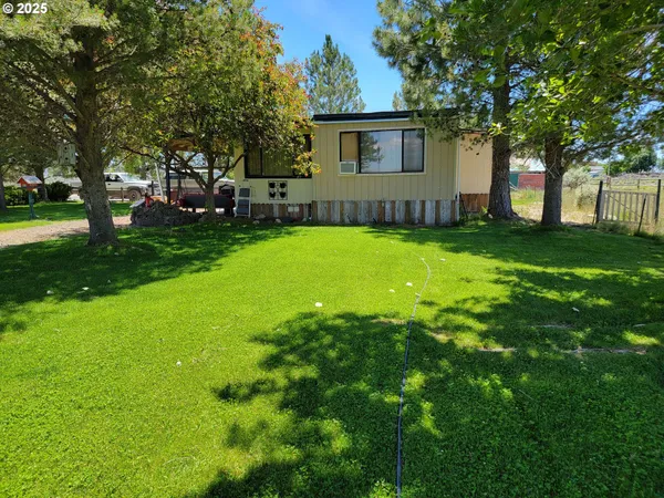 a backyard of a house with plants and large tree