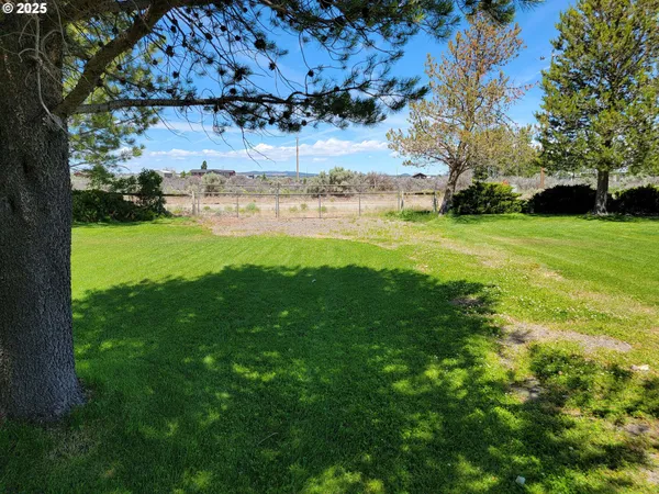 a view of a yard with an house and garden