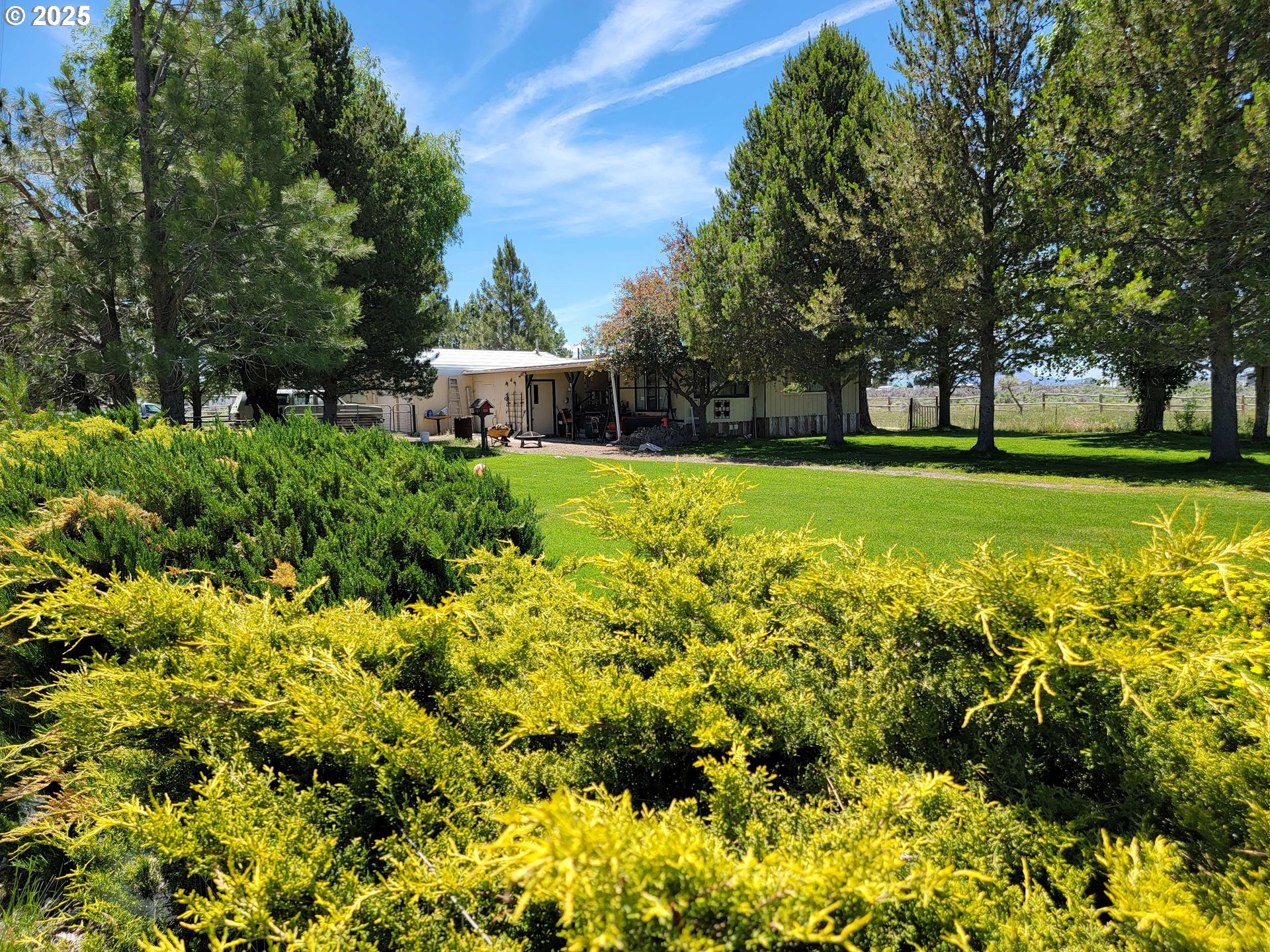 57580 Fall Road Christmas Valley, OR 97641 - Photo 29 of 38 a view of a garden with plants and large trees