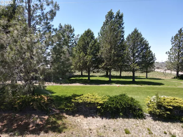 a view of a dry yard with wooden fence