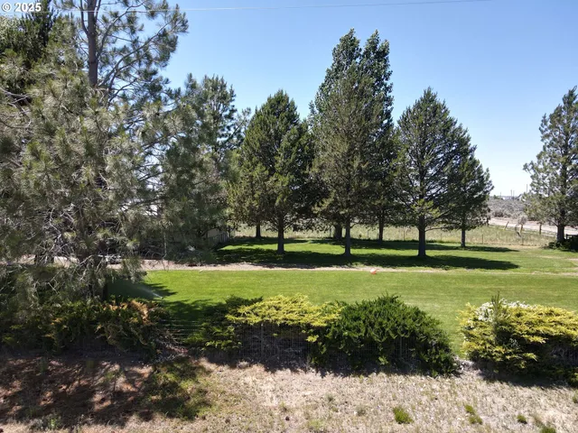a view of a dry yard with wooden fence