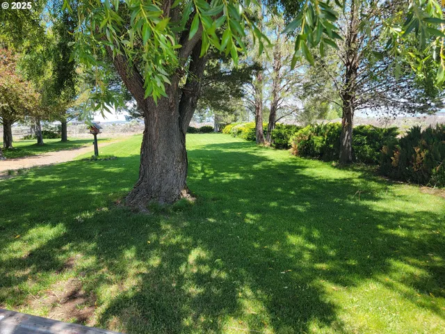 a view of outdoor space with a garden