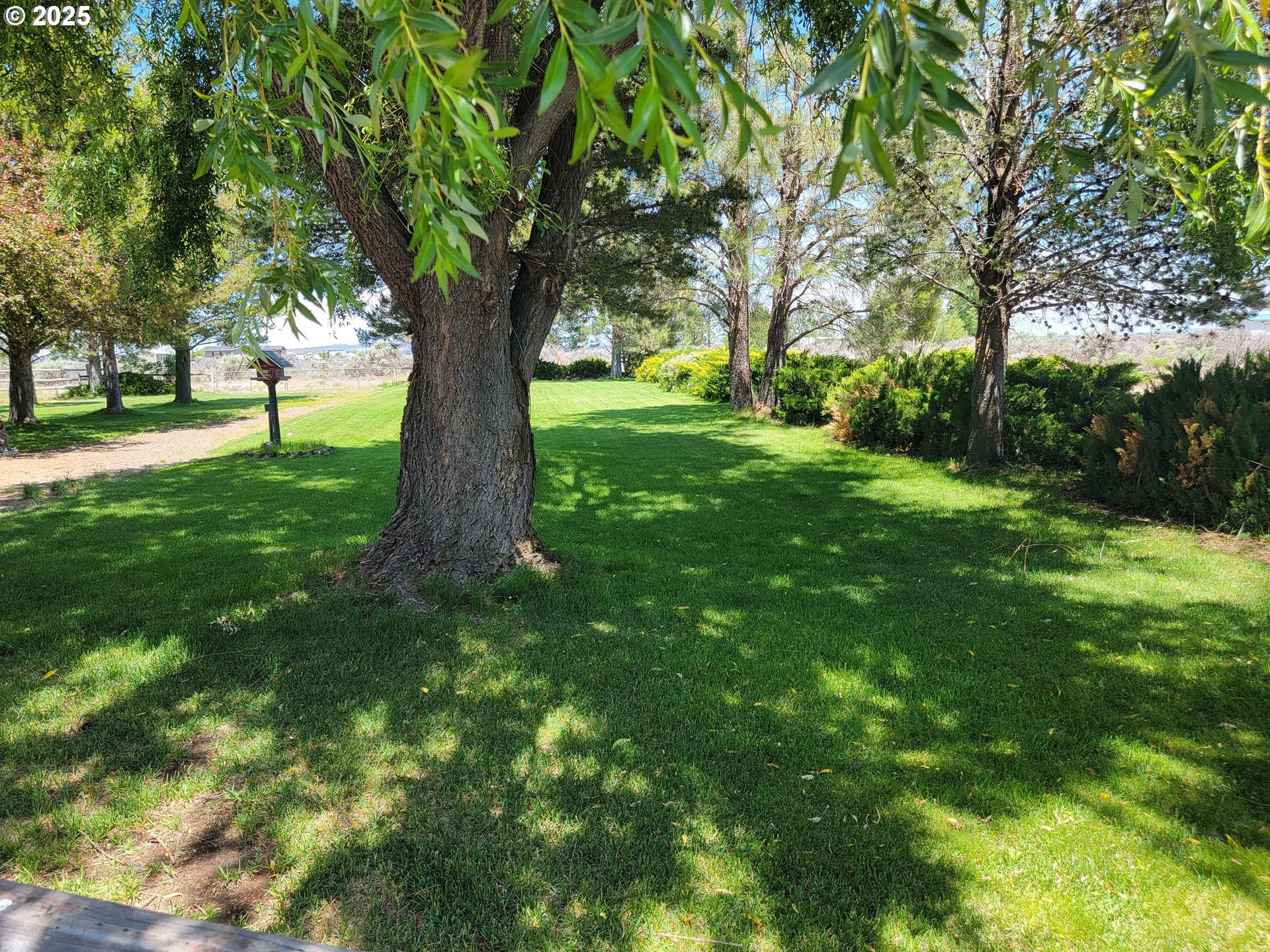 57580 Fall Road Christmas Valley, OR 97641 - Photo 5 of 38 a view of outdoor space with a garden