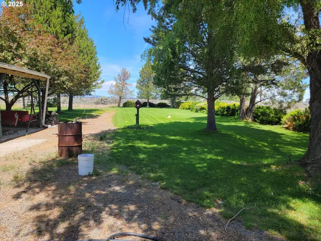 a park view with a fountain