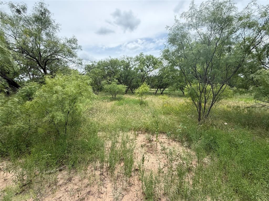 Tbd Coppic Ranch Road Brownwood, TX 76801 - Photo 12 of 13