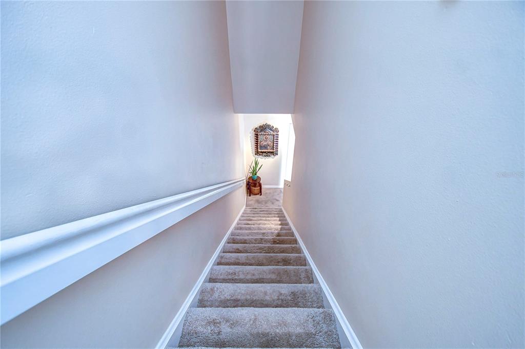 8526 Brushleaf Way Tampa, FL 33647 - Photo 16 of 42