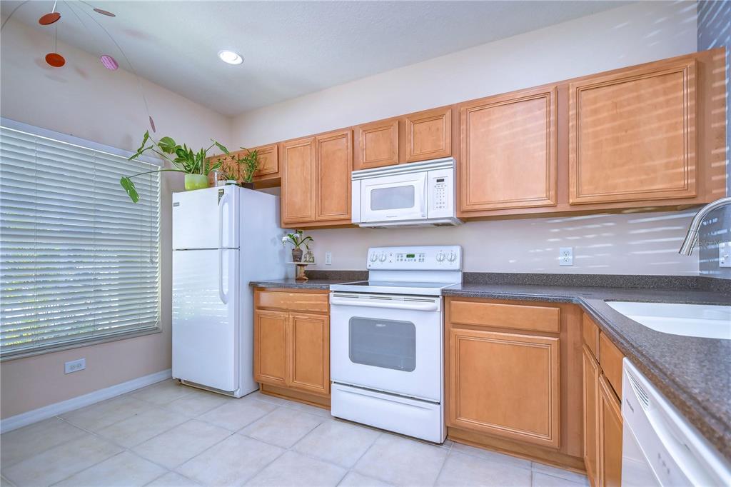 8526 Brushleaf Way Tampa, FL 33647 - Photo 8 of 42