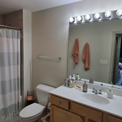 a bathroom with a sink vanity mirror and toilet