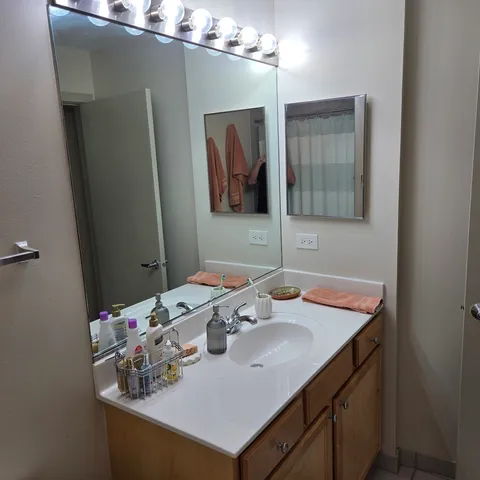 a bathroom with a sink and a mirror