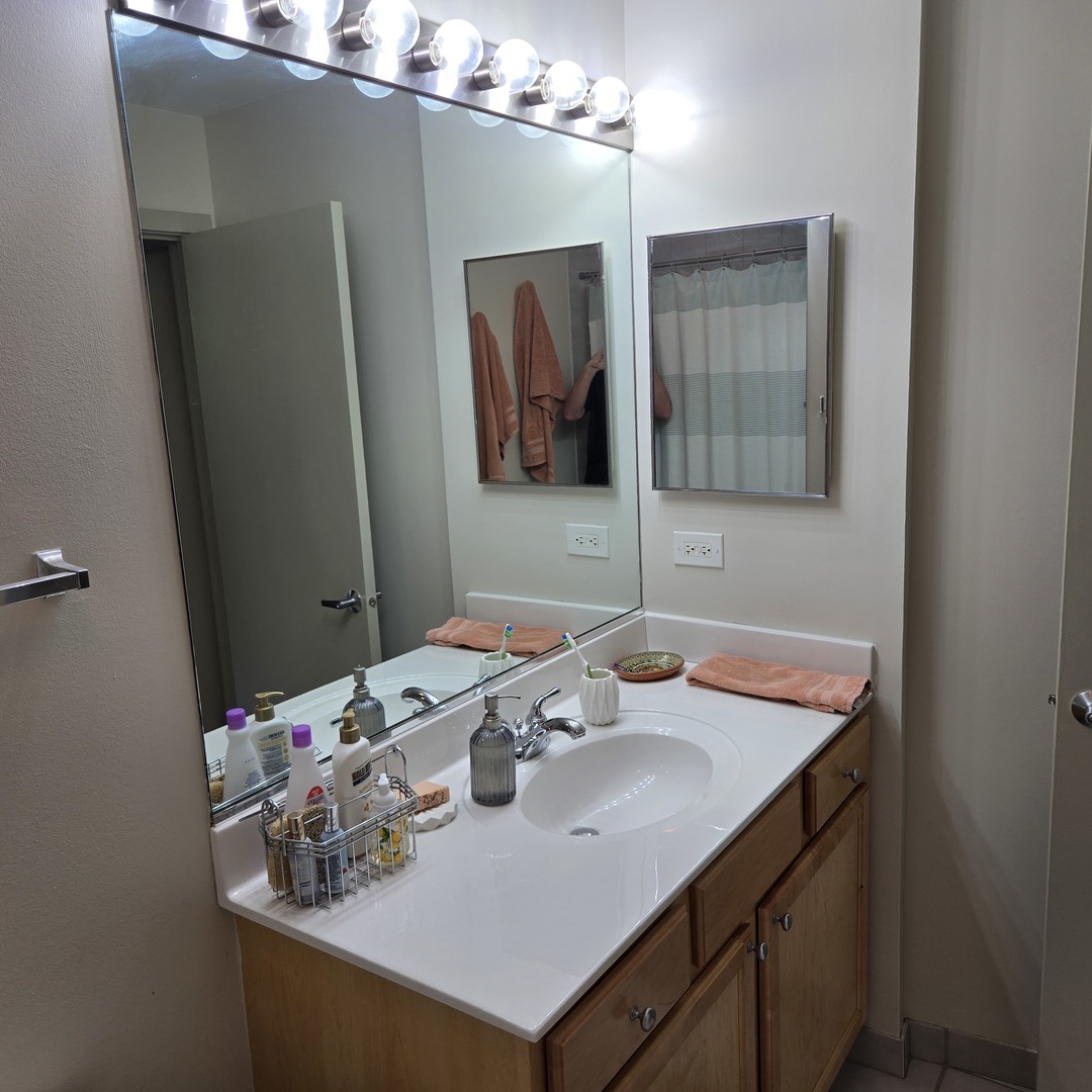 1111 West 15th Street, Unit 228 Chicago, IL 60608 - Photo 19 of 32 a bathroom with a sink and a mirror