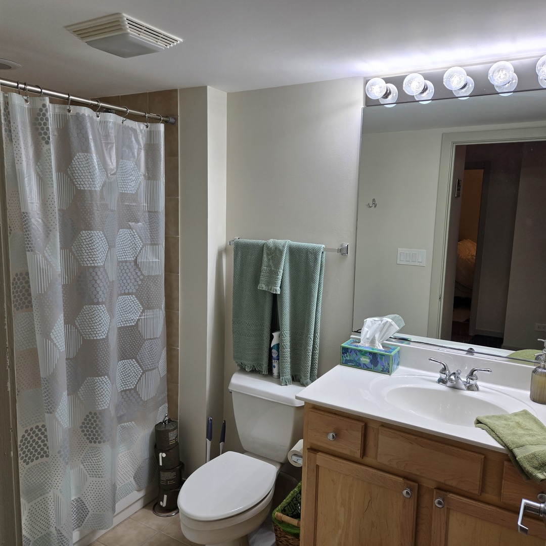 1111 West 15th Street, Unit 228 Chicago, IL 60608 - Photo 22 of 32 a bathroom with a sink toilet and shower