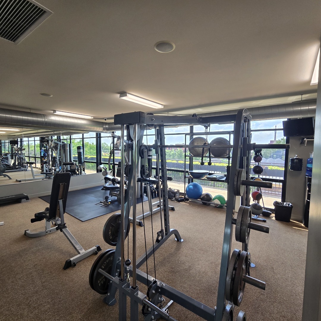 1111 West 15th Street, Unit 228 Chicago, IL 60608 - Photo 31 of 32 a view of a room with gym equipment