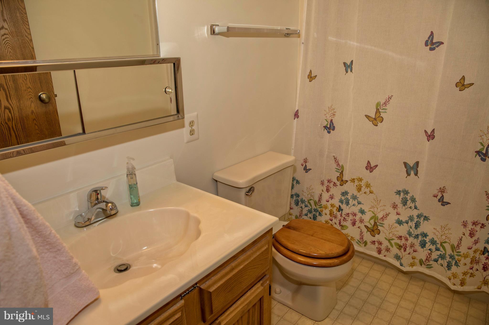 4454 Scotts Road Marshall, VA 20115 - Photo 8 of 23 Hall Bath