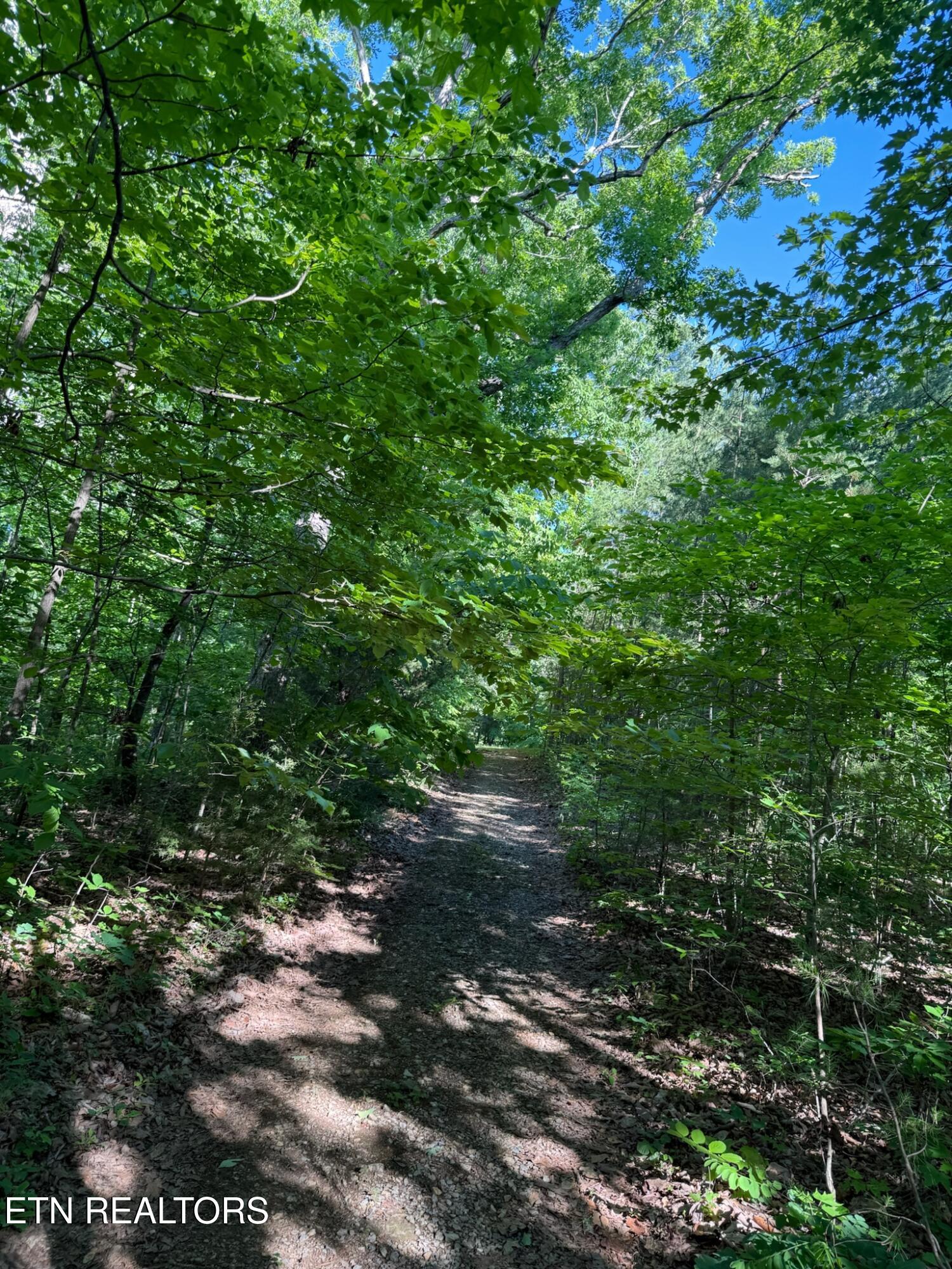 992 Chicken Hollow Road Newport, TN 37821 - Photo 16 of 37 IMG_0106