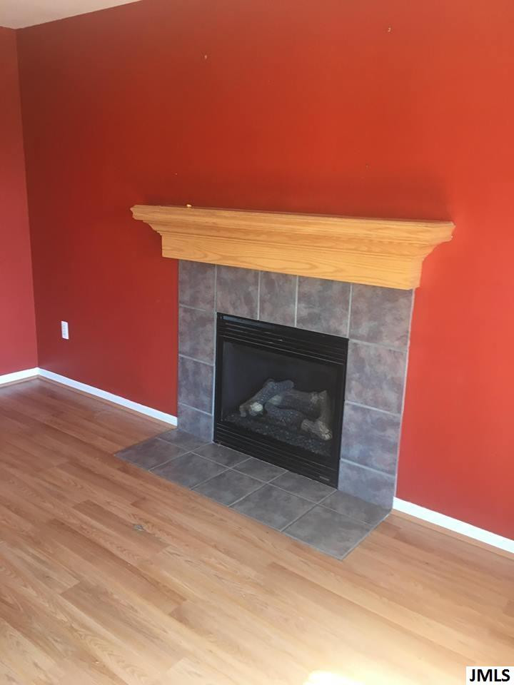 148 Ridgeview Court Grass Lake, MI 49240 - Photo 3 of 18 Photo 3
