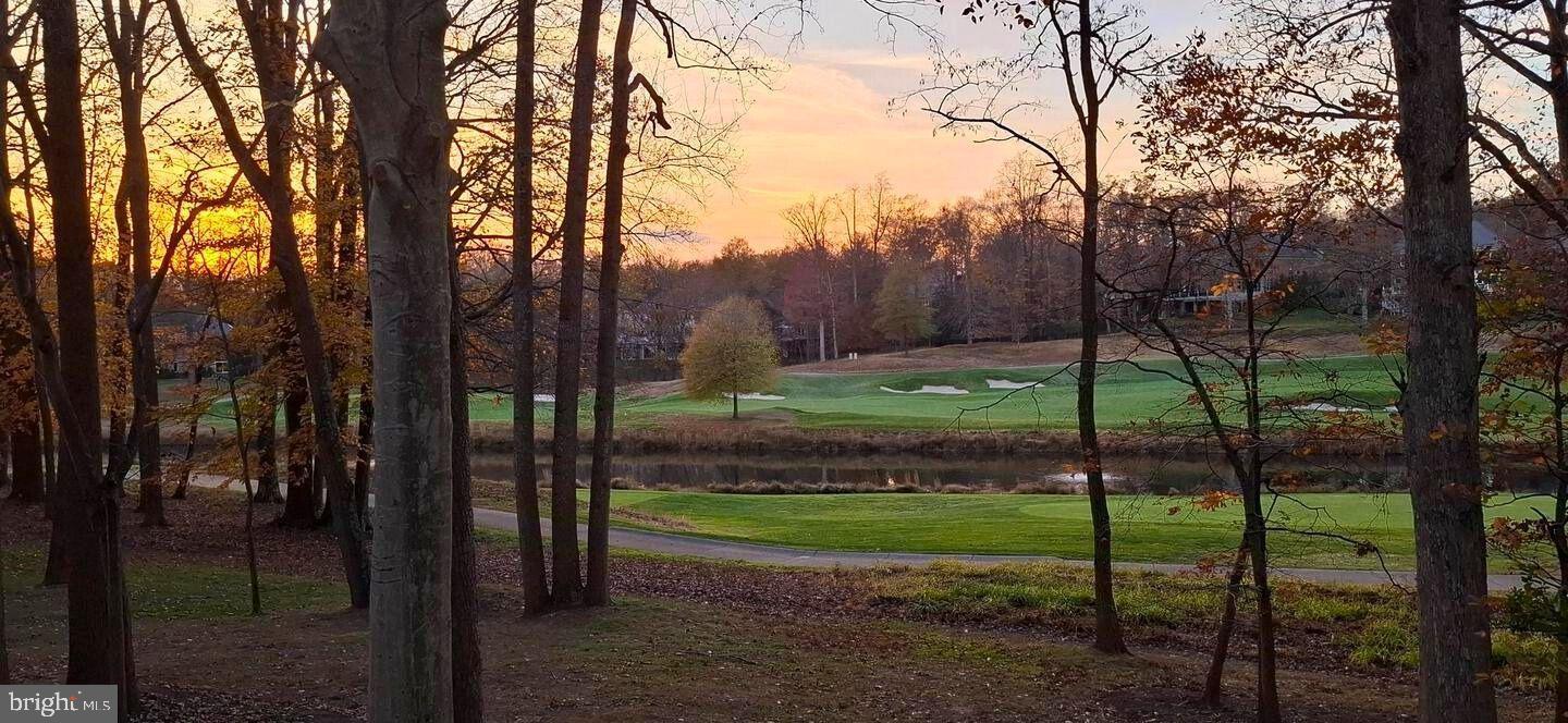a view of backyard with green space