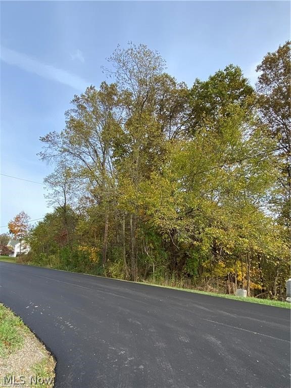 Saltzburg Road Senecaville, OH 43780 - Photo 3 of 7 Gallery Image 3