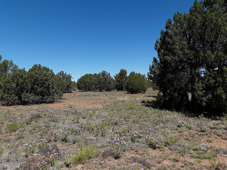 20 North 8201st Alpine, AZ 85920 - Photo 21 of 25
