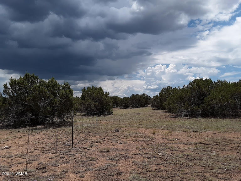 20 North 8201st Alpine, AZ 85920 - Photo 22 of 25