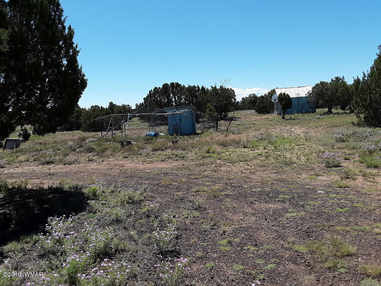 20 North 8201st Alpine, AZ 85920 - Photo 23 of 25