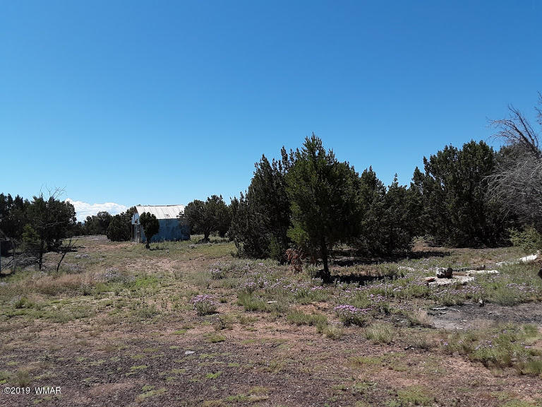 20 North 8201st Alpine, AZ 85920 - Photo 24 of 25