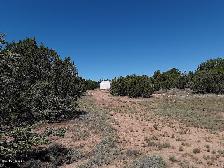 20 North 8201st Alpine, AZ 85920 - Photo 4 of 25