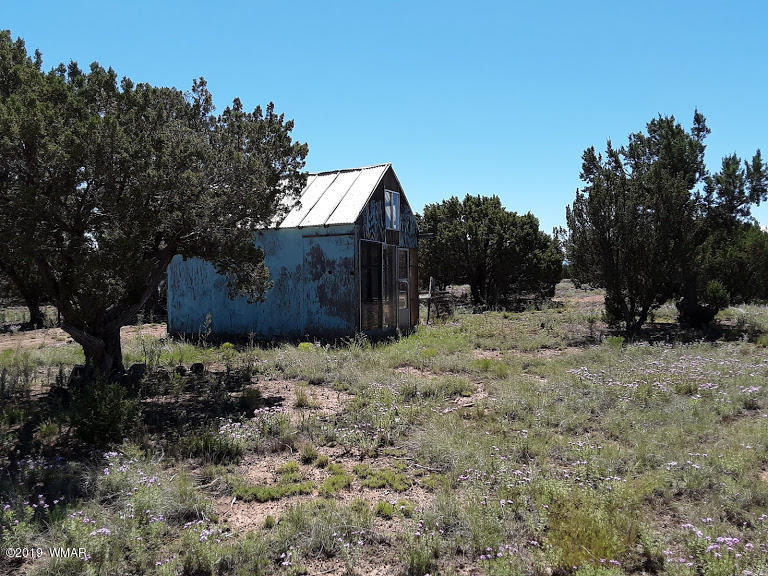 20 North 8201st Alpine, AZ 85920 - Photo 5 of 25