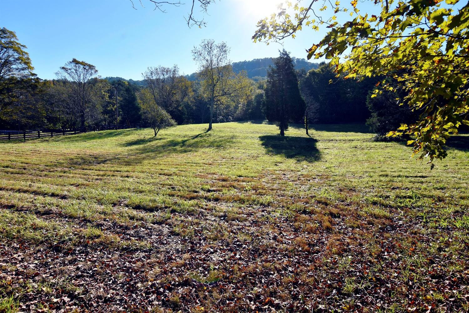 60 White Oak Road Irvine, KY 40336 - Photo 1 of 13 Several home sites or one fabulous site!