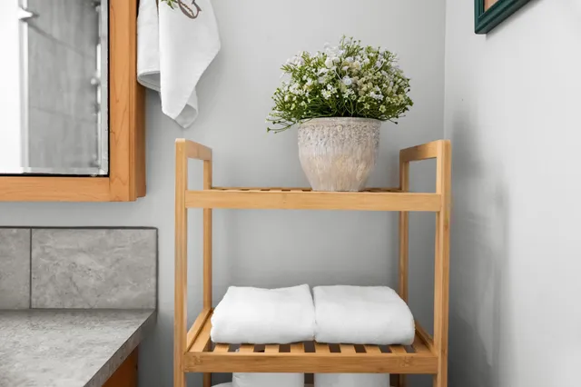 a room with a potted plant