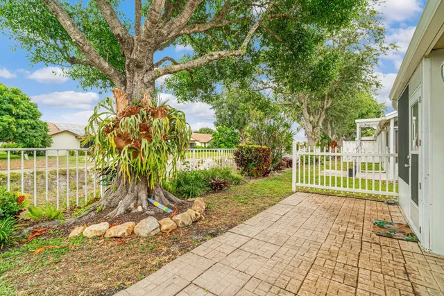 a view of a backyard