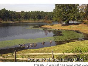 240 Lakeside Road Raeford, NC 28376 - Photo 3 of 16 a view of a lake with a yard