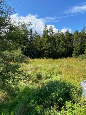 $379,000 | 30 Dog Point Road, Cranberry Isles, ME 04625