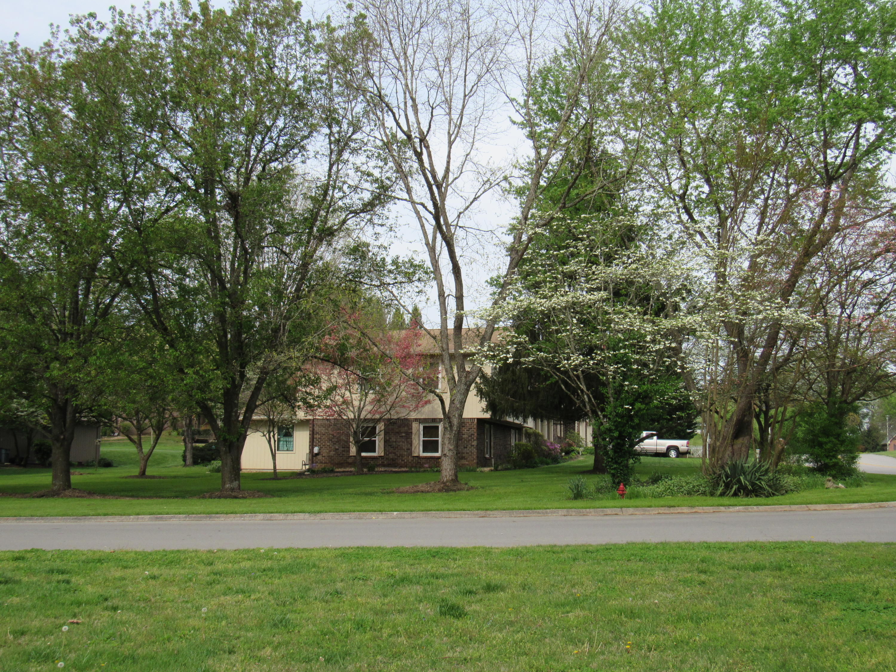 245 Briarcliff Avenue Oak Ridge, TN 37830 - Photo 3 of 31 IMG_6555