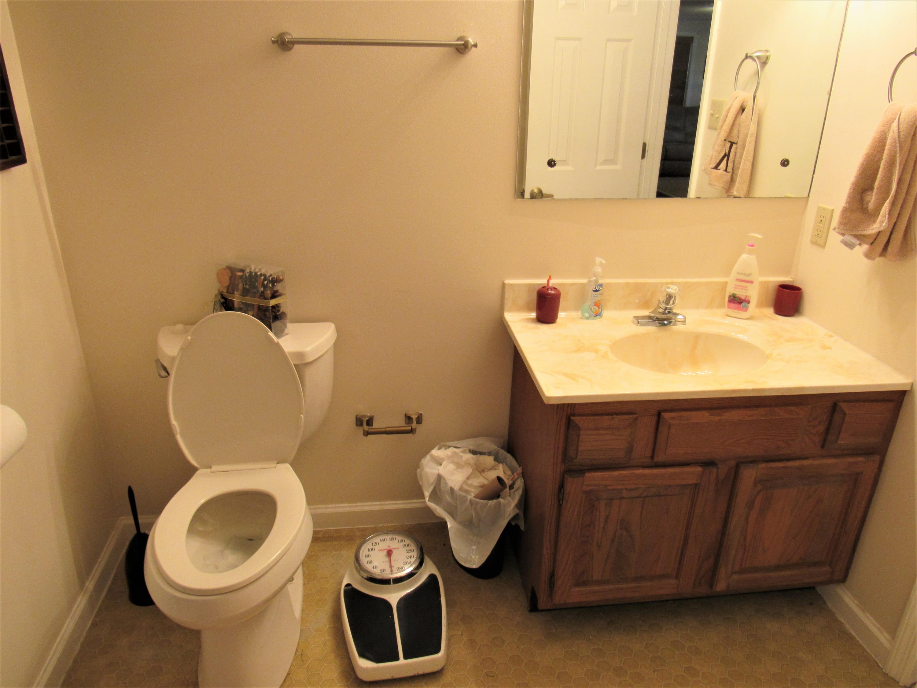245 Briarcliff Avenue Oak Ridge, TN 37830 - Photo 26 of 31 IMG_5987