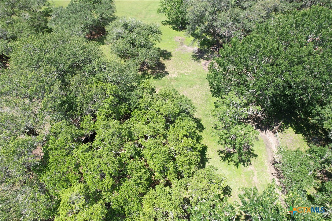 324 Wooldridge Road Seadrift, TX 77983 - Photo 8 of 36
